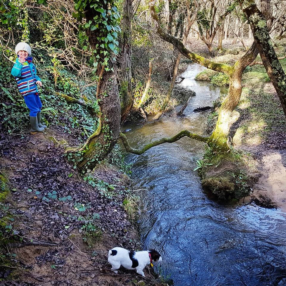 child with dog near stream in Cornwall