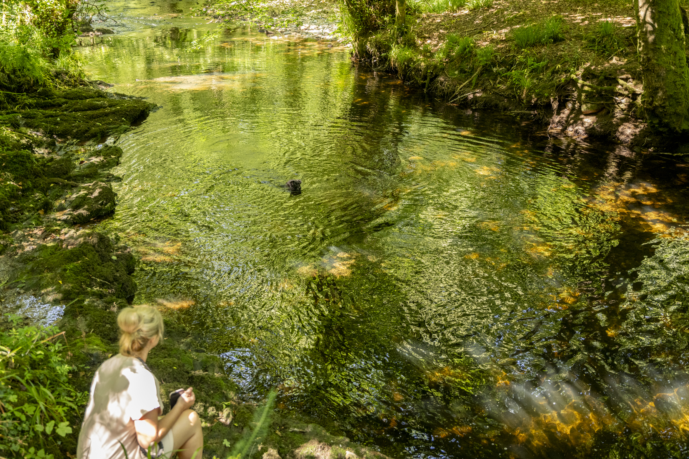 dog in the water and woman by the river 
