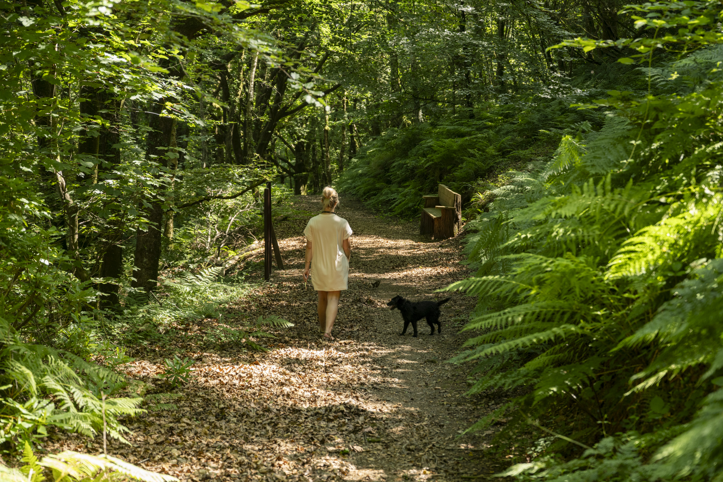 Woman and dog walking through woods