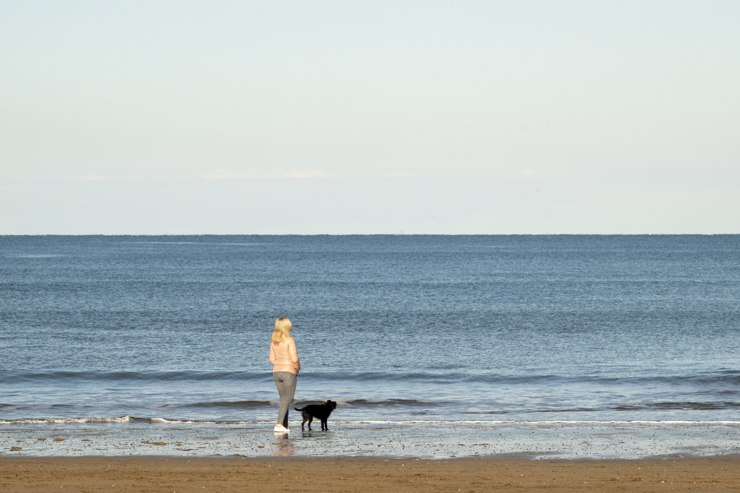 Woman and dog walking on the beach 